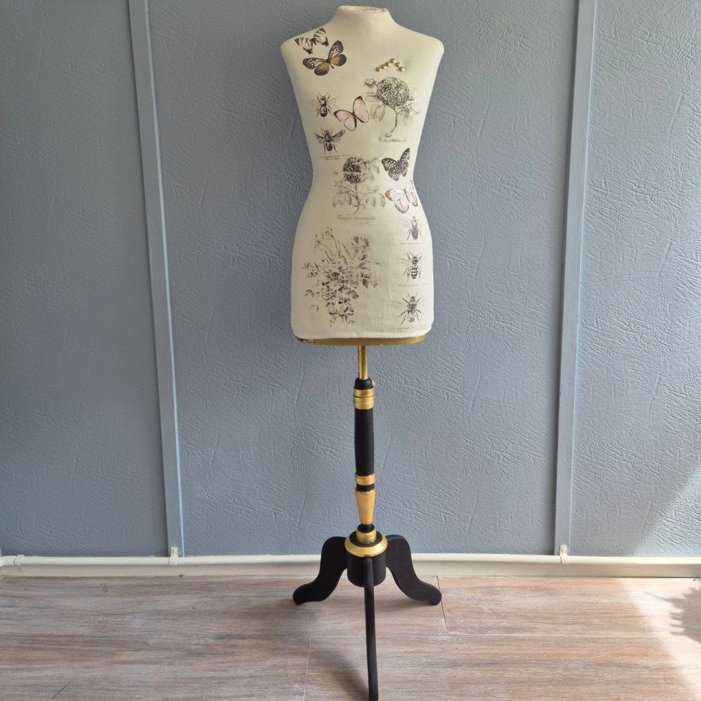 One-on-One Zoom Session — Annie Sloan Chalk Paint® Coaching