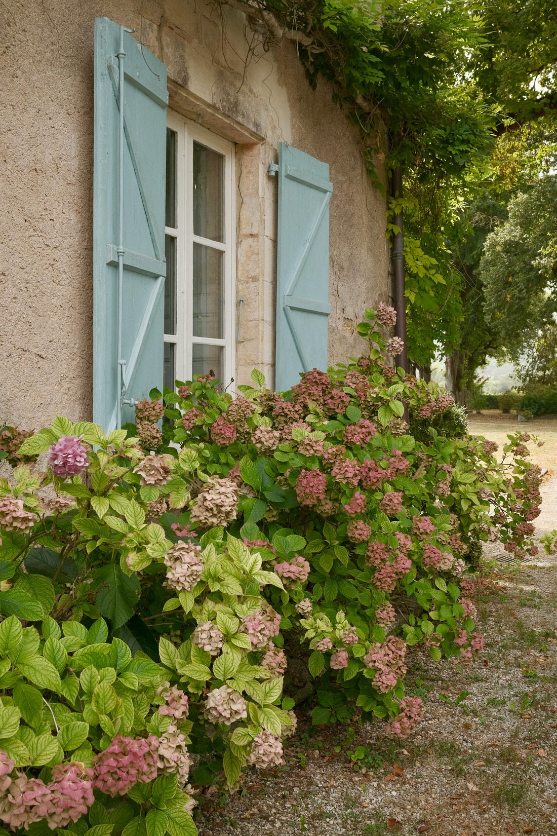 The French Farmhouse Edit: A Book, A Brush, and the Colour of Somewhere Beautiful