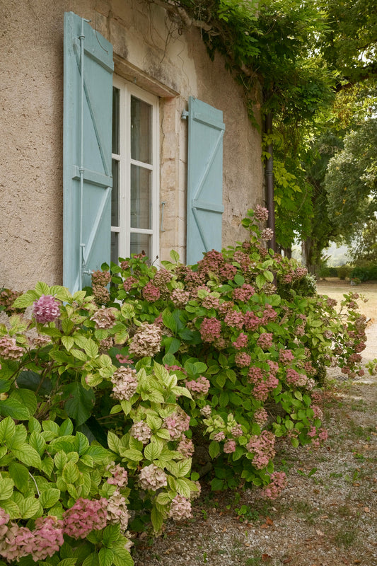 The French Farmhouse Edit: A Book, A Brush, and the Colour of Somewhere Beautiful